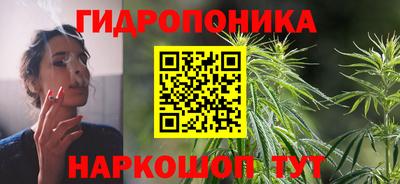 a pvp Гагарин