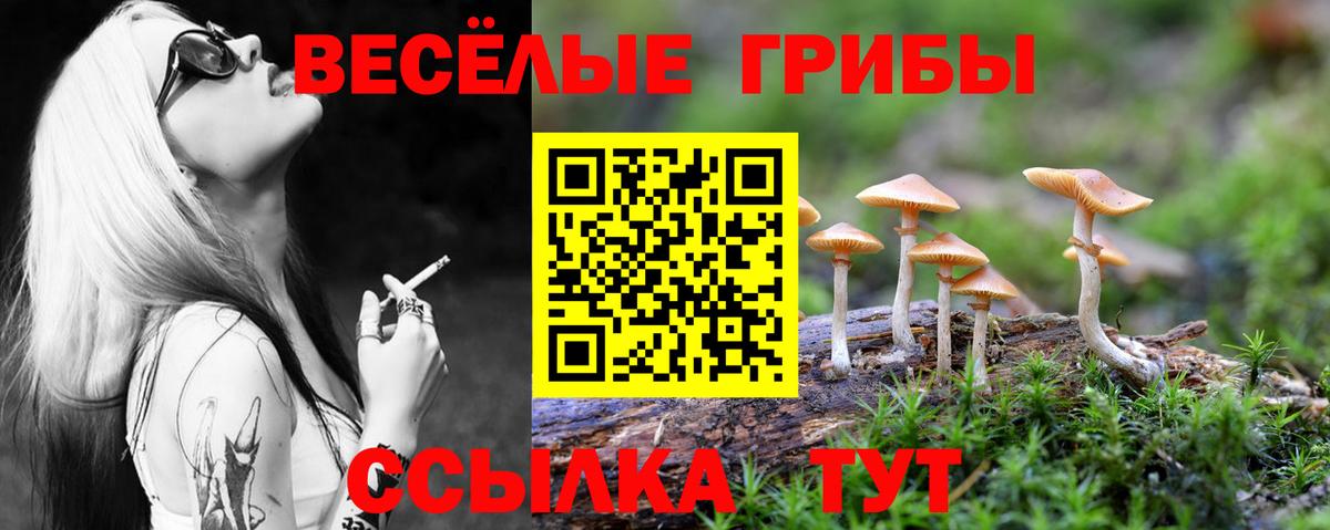 Псилоцибиновые грибы Cubensis  Вход с VPN  Миллерово 